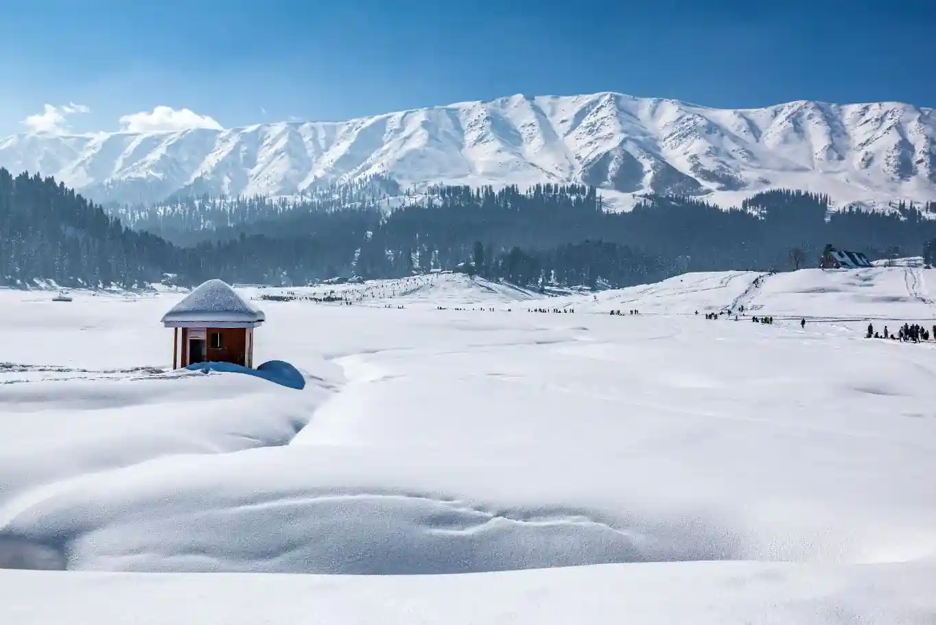 Gulmarg Meadows