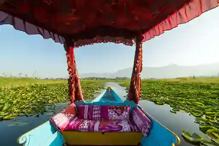 Kashmir Valley Tour